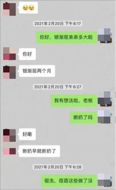 养了8个月的银渐层弟弟其实是妹妹？铲屎官怒了！法院这样判